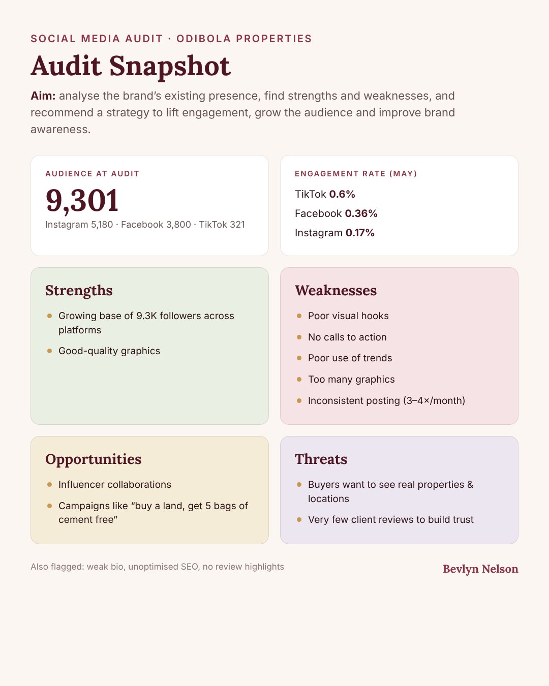 Social Media Audits sample